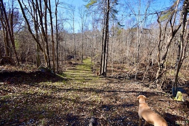 0 Ebeneezer Rd unit 202547593, Tennyson, IN 47637 - photo 4