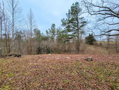 145 Joe Harris Ln, Cookeville, TN 38506 - photo 5