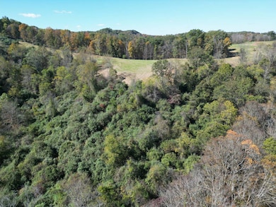 000 Field Hollow Rd, Spencer, WV 25276 - photo 6