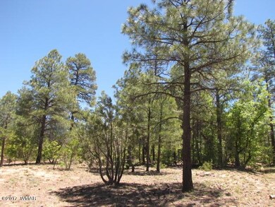 Tall Pines