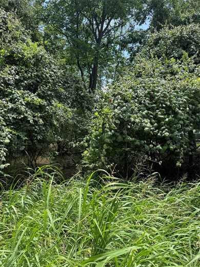 View of undeveloped land