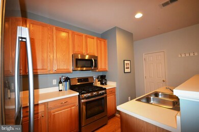 42228 Terrazzo Terrace, Stone Ridge, VA 20105 - photo 4