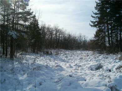 Land View Due South From Road