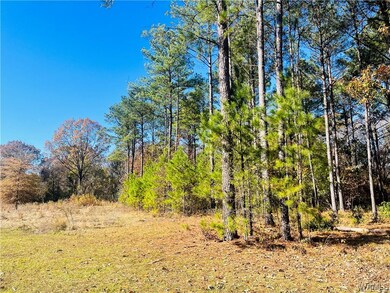 Left hand side of Lot 33.
