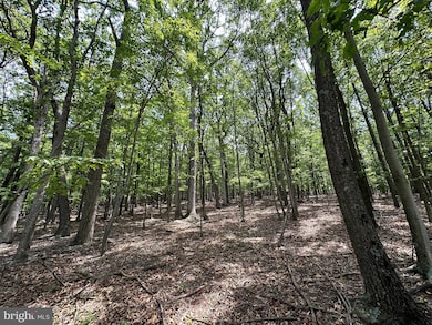 0 Lot A-36 Eagle Mountain, Paw Paw, WV 25434 - photo 7