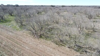 000 County Road 451, Hondo, TX 78861 - photo 6