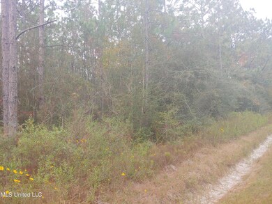 43 E Tate St, Bay Saint Louis, MS 39520 - photo 3