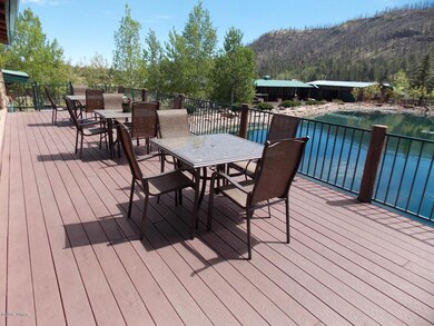 18A Cr 1120, Greer, AZ 85927 - photo 4