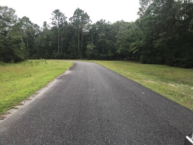 0 Hog Hedge unit 308876, Crawfordville, FL 32327 - photo 2