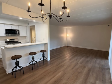 201 E Janata Blvd unit 1A, Lombard, IL 60148 - photo 2