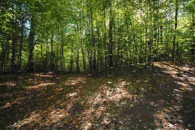 TBD Towle, Chichester, NH 03258 - photo 7