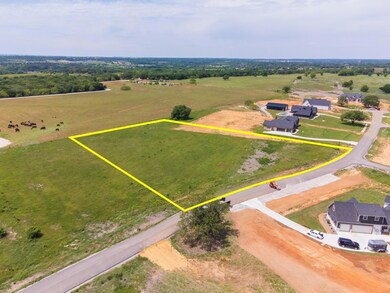 154 Hansma Way, Weatherford, TX 76087 - photo 4