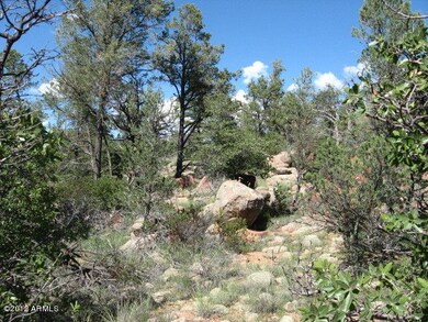 lots of trees
