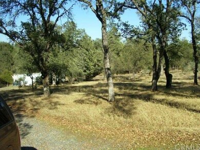 Beginning of Driveway looking back from Grubbs Roa
