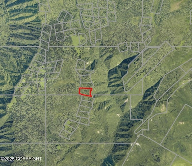 82-215 Alaska State Land Survey, Homer, AK 99603 - photo 3