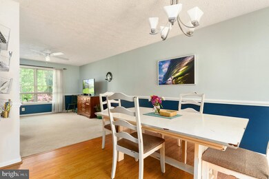 1002 Tasker Ln, Arnold, MD 21012 - photo 4