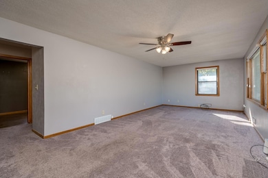 340 2nd Ave S, Amboy, MN 56010 - photo 5