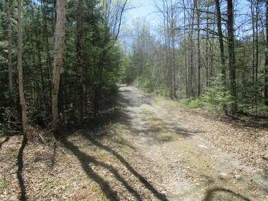 Wooded lot with the road