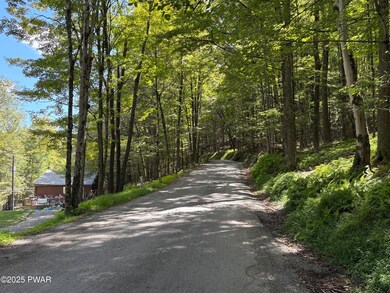 0 Wallenpaupack Dr unit PWBPW252769, Greene Township, PA 18426 - photo 6