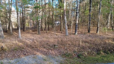 6058 Loch Loosa Dr, Crossville, TN 38572 - photo 4