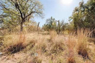 TBD Woodland Hills Dr, Granite Shoals, TX 78654 - photo 3