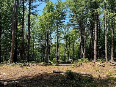 232 Deer Hill Rd, Whitingham, VT 05361 - photo 7