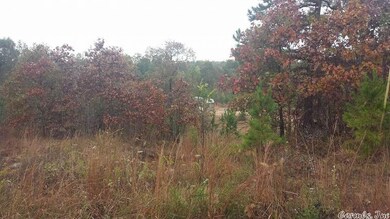 0 Scatter Creek unit 15034193, Paragould, AR 72450 - photo 2