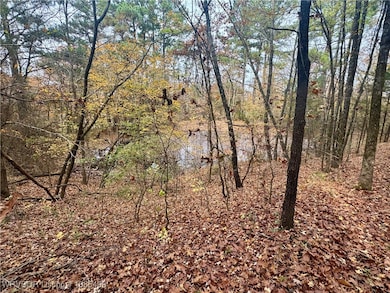 01 Arkansas 96, Cecil, AR 72930 - photo 2