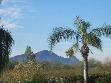 Mountain Views