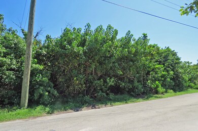 69 St East Lot