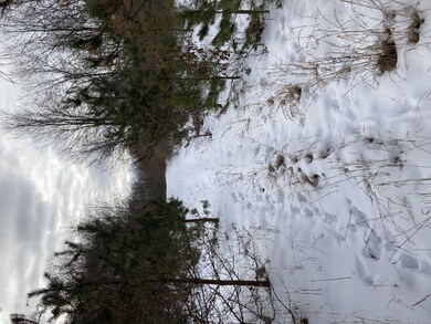 0 N Felch Ave unit 21003119, Sherman Township - Newaygo, MI 49349 - photo 6