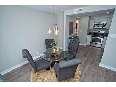 View from dining room to kitchen. Light and bright