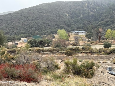 19350 Pine Canyon Rd, Lake Hughes, CA 93532 - photo 3