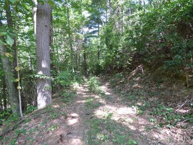 0 Pedlar River Rd unit 294062, Amherst, VA 24521 - photo 6