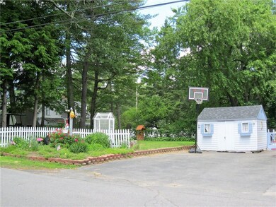 Shed & Yard