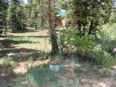 Water meter on property