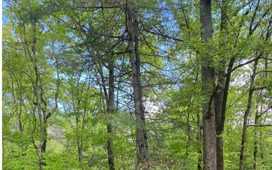Additional View