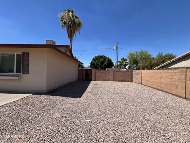 Front Side Yard