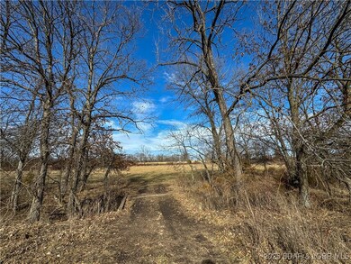 path to other hayfield