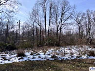 1661 W Marshall Ln, Posey Township, IN 47834 - photo 3