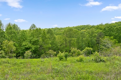 0 Dandy Rd unit 1524756, Signal Mountain, TN 37377 - photo 6