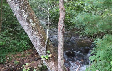 Additional View