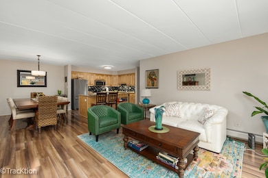 203 N Kenilworth Ave unit 2N, Oak Park, IL 60302 - photo 4