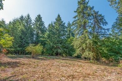 110 Rawlins Rd, Toledo, WA 98591 - photo 6