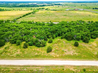 Lot 3 Grison Cir, Corsicana, TX 75109 - photo 4