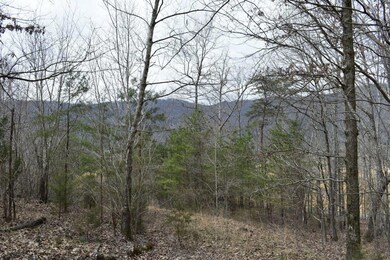 _DSC0579