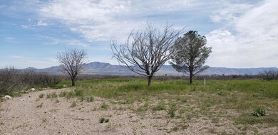 2490 S H Bar M Rd, Portal, AZ 85632 - photo 3