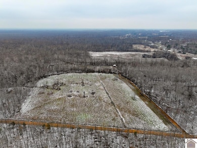 000 Walter Jennings Rd unit (Marshall Co. KY 14., Benton, KY 42025 - photo 2