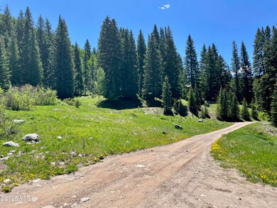 001 Street 8, Eagle, CO 81631 - photo 6