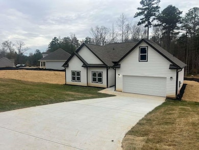 219 Brookwood Crossing, Douglasville, GA 30134 - photo 3